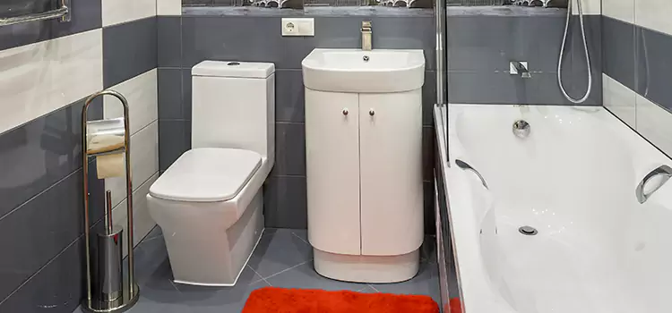 Hansgrohe Shaving Mirror Montreal